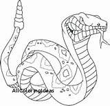 Anaconda Snake Coloring Pages Mamba Cobra King Getcolorings Kids Color Printable Getdrawings Colorings sketch template