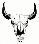 Skull Drawing Buffalo Bull Drawings Outline Sketch Clipart Bison Tattoo Coloring Skulls Clip Skul Designs Template Digital Paintingvalley Choose Board sketch template
