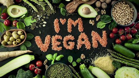 vegan changed  life dailyveganlifecom