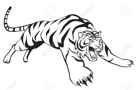 image result  images  roaring siberian tiger lineart siberian