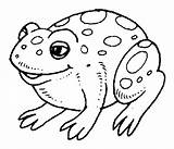 Toad Coloring Pages Color Printable Animals Fire Belly Frog Sheet Animal Animalstown Search Kids Google Colorear Para Colorir 450px 39kb sketch template