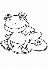 Grenouille Coloriage Coloriages Ranas Colorier Danieguto sketch template