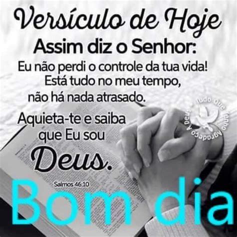frase status  history de bom  frases  mensagens