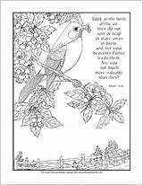 Coloring Birds Printable Look Pages They Air Flandersfamily Info Family Flanders Valuable Feeds Barns Heavenly Father Yet Away Much Than sketch template