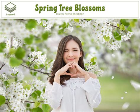 spring flower tree backdrop white blossoms photography world