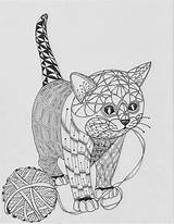 Coloring Pages Kwok Ben Animal Kitty Cat Template Choose Board sketch template
