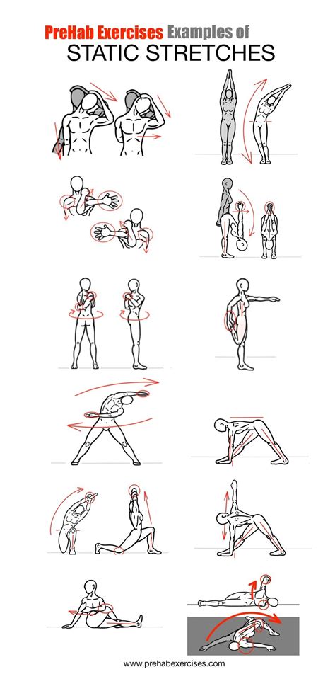 stretches examples of static stretches dynamic