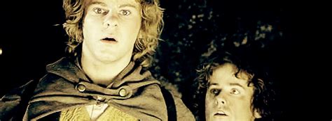 merry  pippin lord   rings photo  fanpop