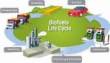 Alternative Biofuel Pictures