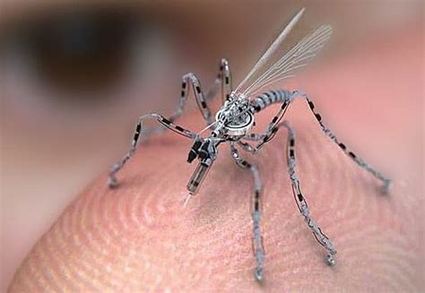 tiny insect eye motion sensor giving sight  mini drones techietonics