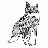 Fox Arctic Clipartmag Drawing Coloring sketch template