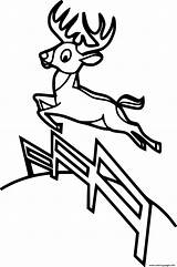 Jumping Fence Deer sketch template