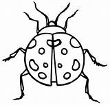 Ladybug Mariquitas Coloring4free Ladybird Invertebrados Preschooler sketch template