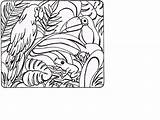 Forest Biome Coloring Pages Images