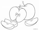 Apfel Slices Ausmalbilder Malvorlage Malvorlagen Cool2bkids sketch template