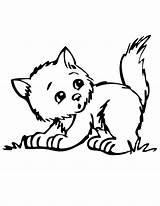 Coloring Kitten Outline Gif Popular sketch template