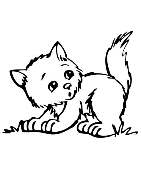 cute kitten coloring page   coloring pages