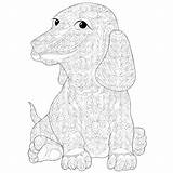 Pages Coloring Getdrawings Bloodhound Gypsy Drawn sketch template