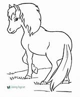 Horse Coloring Pages Pony Printable Horses Shetland Print Sheets Color Template Baby Honkingdonkey Real Animal Animals Running Printing Templates Kids sketch template