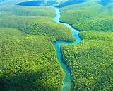 Tropical Rainforest Interesting Facts Images