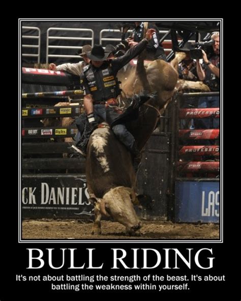 Bull Riding Quotes And Sayings Quotesgram