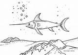 Malvorlagen Schwertfisch Fische Seite Captain sketch template