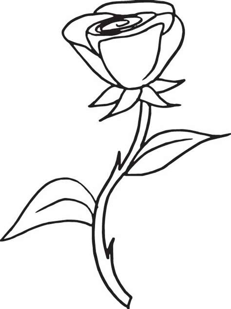 red rose coloring pages graphics art pinterest