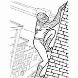 Spiderman Coloring Pages Colouring Sheets Printable Climbing Wall Toddler Wonderful Will Color Kids Online Top School Kid Momjunction Catching Robbers sketch template