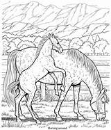 Coloring Horse Pages Friesian Book Color Printable Dover Publications Horses Doverpublications Meadow Books Colouring Adults Wonderful Template Welcome Drawings Getdrawings sketch template