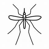 Mosquito Dengue Menta Educación Infantil sketch template