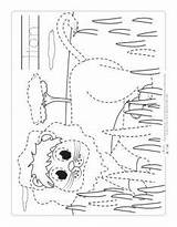 Tracing Lion Itsybitsyfun sketch template