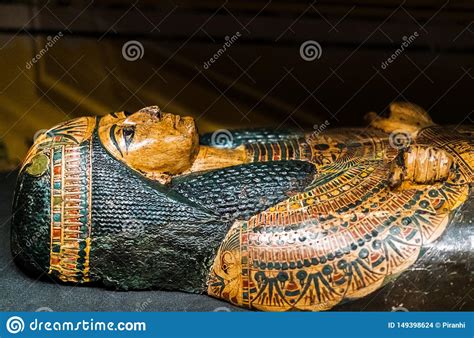 ancient sarcophagus  display   beautiful green  gold