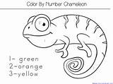Chameleon Coloring Template Color Own His Carle Printables Crafts Eric Kindergarten Unit Pages Literature Board sketch template