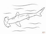 Coloring Shark Hammerhead Pages Printable Drawing Great Medium sketch template