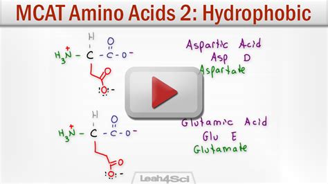 hydrophobic  polar side chain amino acids