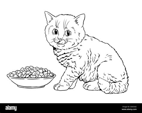 cute kitten  eating template   coloring book   cats