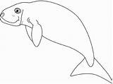 Dugong Coloring Dolphin Drawings sketch template