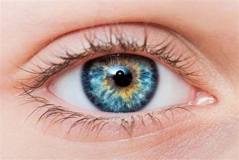 colore degli occhi da cosa dipende neovision cliniche oculistiche