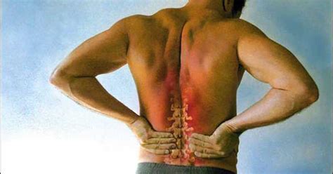 pain management  herbs  chronic  pain relief
