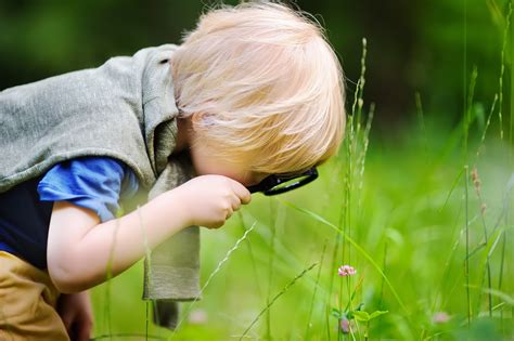 charming kid exploring nature  magnifying glass  boy
