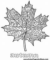 Coloring Leaves Fall Pages Thanksgiving Tree Drawing Jungle Leaf Palm Printable Kids Color Clip Adult Mandala Sheets Almond Judy Bell sketch template