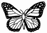 Farfalle Farfalla Papillon Sommerfugl Coloriage Tegninger Fargelegge Fargelegging Sommerfugler Coloriages sketch template