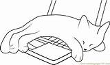 Sleeping Coloring Kitten Laptop Pages Coloringpages101 sketch template