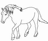 Horse Coloring Pages Palomino Horses Rearing Printable Color Pony Welsh Cute Print Drawing Draft Shetland Colorings Getcolorings Outlines Supercoloring Animal sketch template