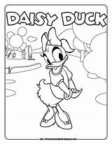 Coloring Pages Daisy Getcolorings sketch template
