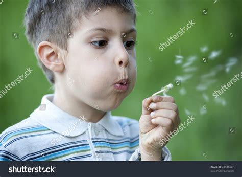 kid blowing dandelion stock photo  shutterstock