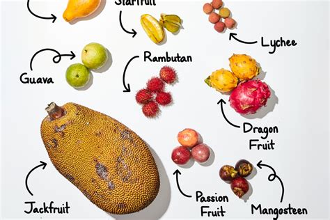Types Of Tropical Fruit The Kitchn
