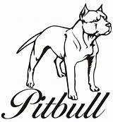 Pitbull Drawing Pitbulls Puppy Outline Bestcoloringpagesforkids Chiens sketch template