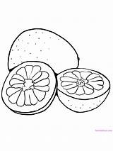 Pomelo Coloring Printable Fruit Pages sketch template