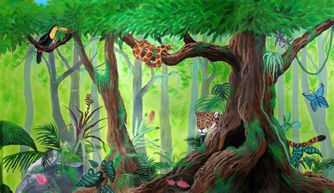 rainforest animals  plants drawings